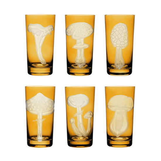 Mushrooms Collection Set