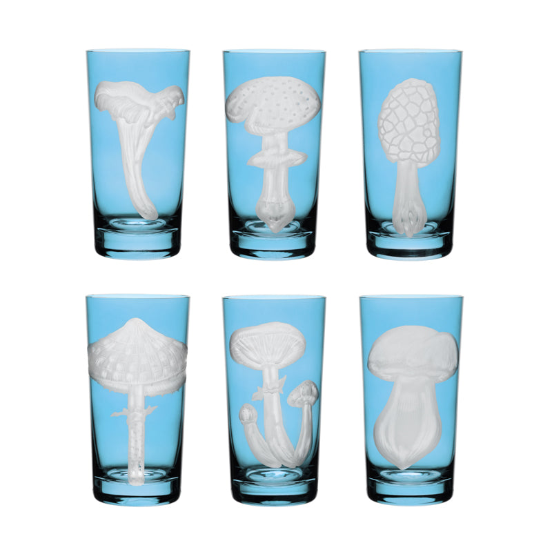 Mushrooms Collection Set