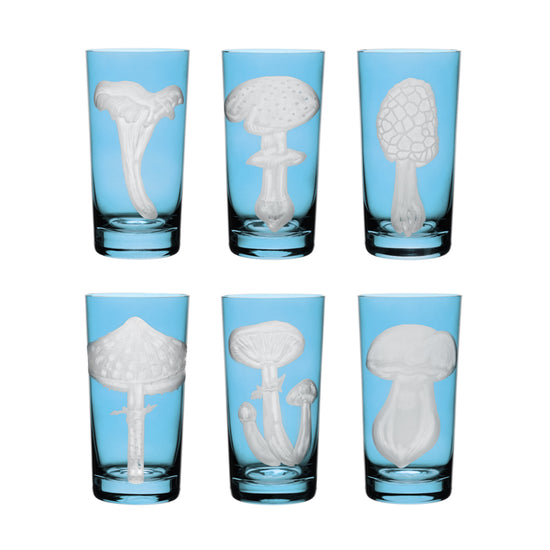 Mushrooms Collection Set