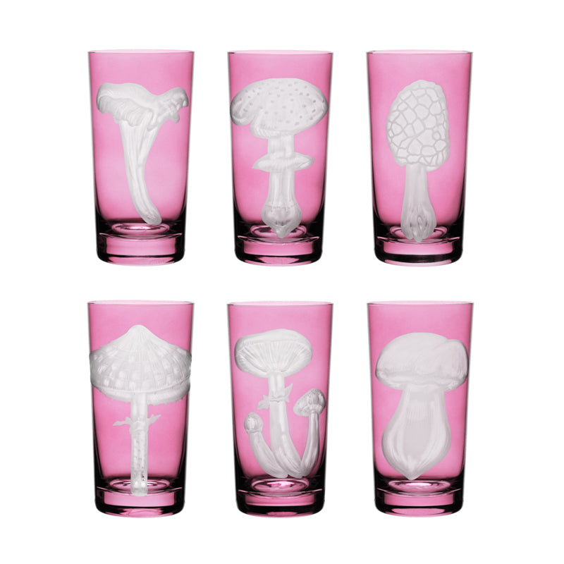 Mushrooms Parasol