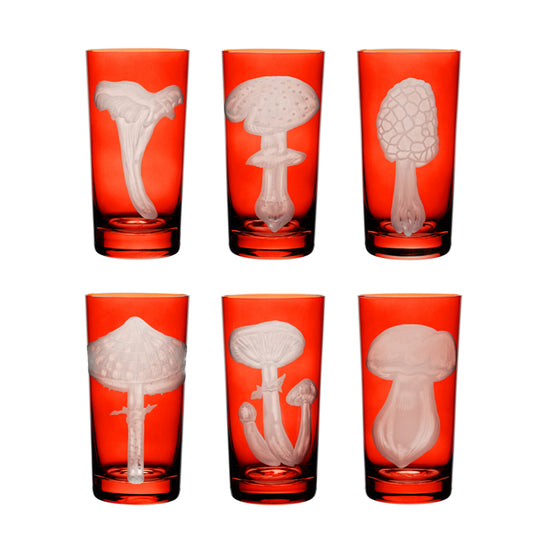 Mushrooms Collection Set