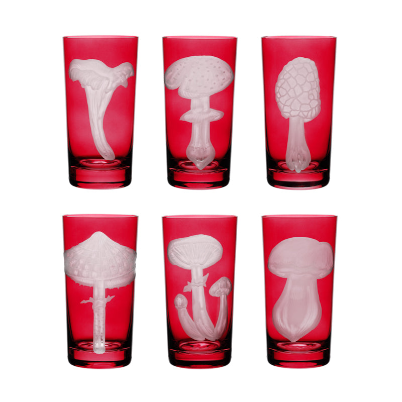 Mushrooms Collection Set