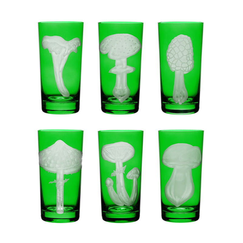 Mushrooms Collection Set