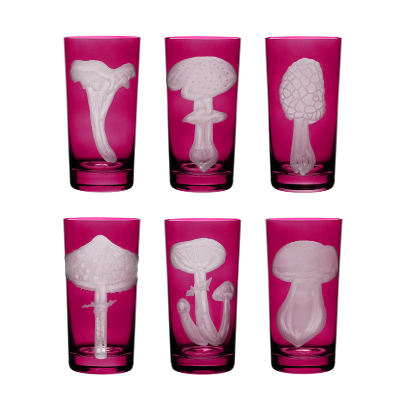 Mushrooms Collection Set