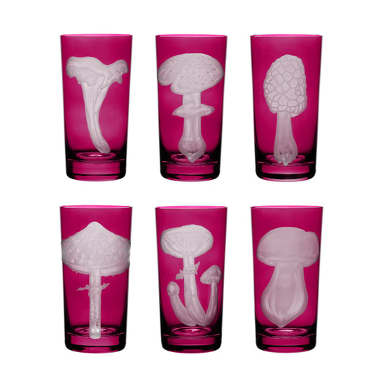 Mushrooms Collection Set