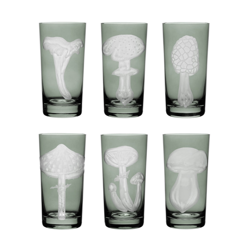 Mushrooms Collection Set