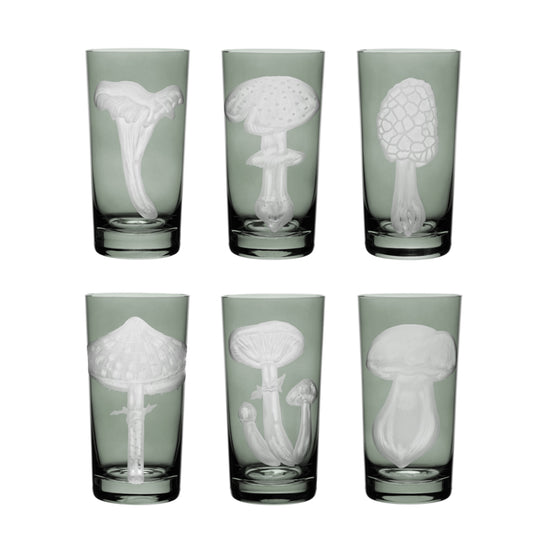 Mushrooms Collection Set