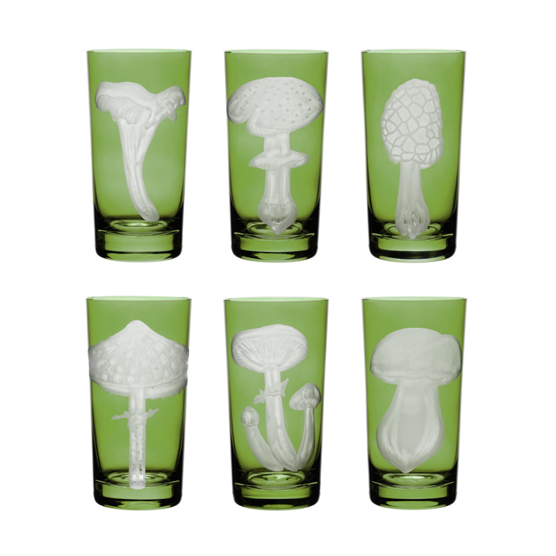 Mushrooms Collection Set