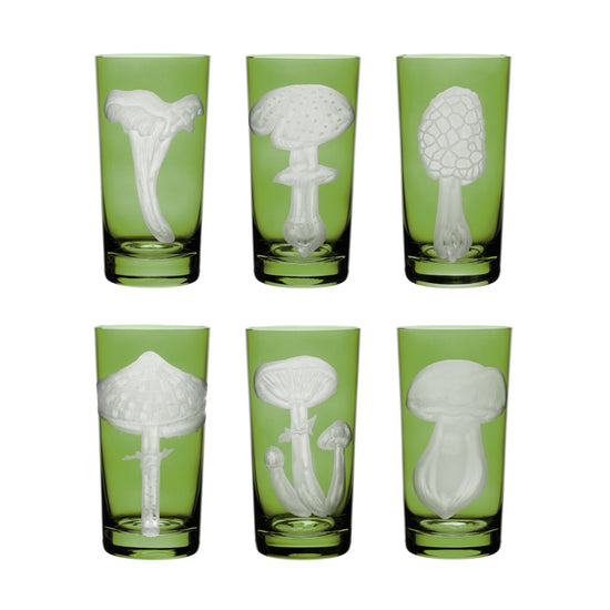 Mushrooms Collection Set