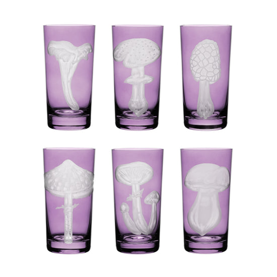 Mushrooms Collection Set