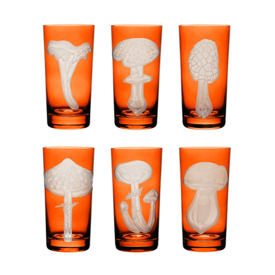 Mushrooms Collection Set