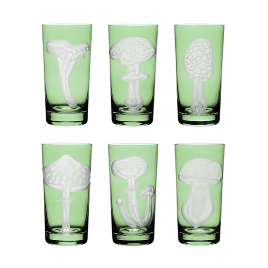 Mushrooms Collection Set