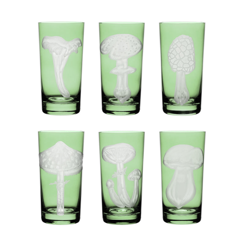 Mushrooms Collection Set