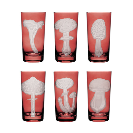 Mushrooms Collection Set