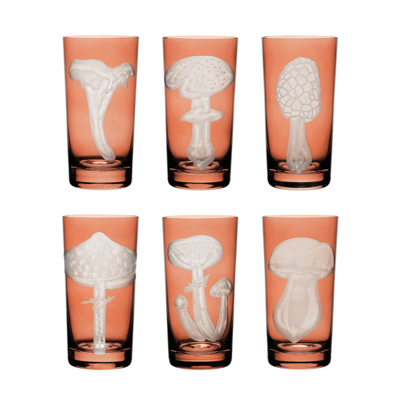 Mushrooms Collection Set