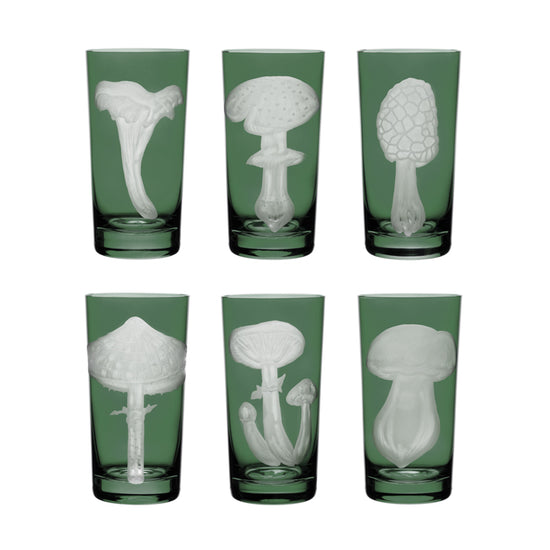 Mushrooms Collection Set