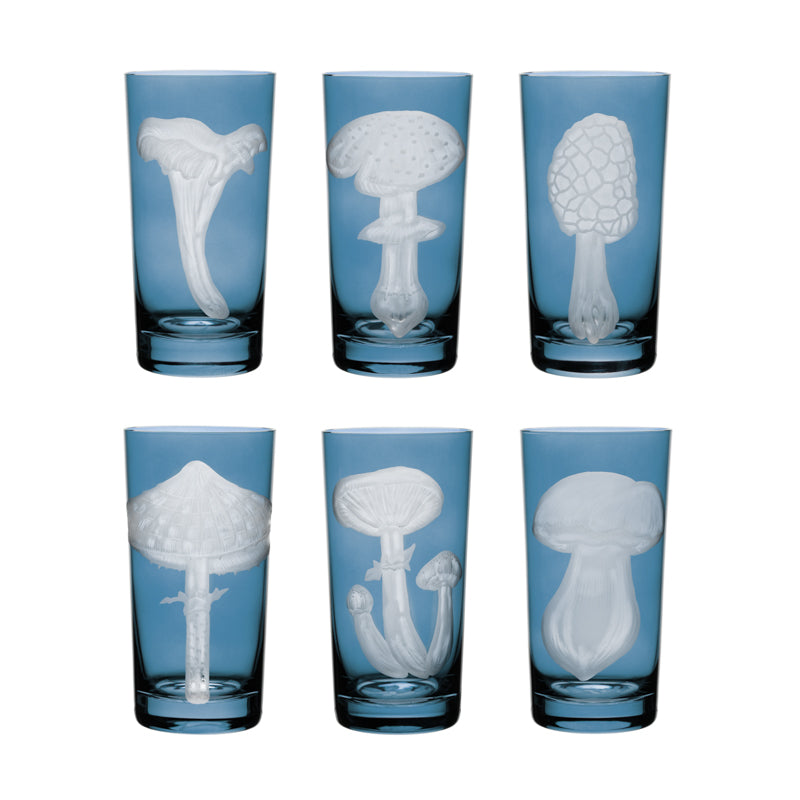 Mushrooms Collection Set