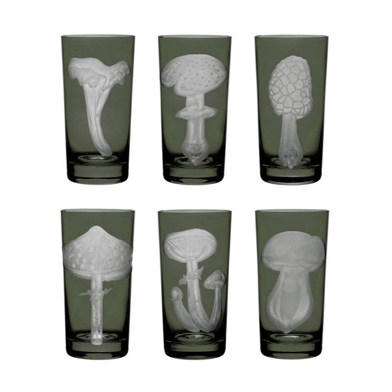 Mushrooms Collection Set