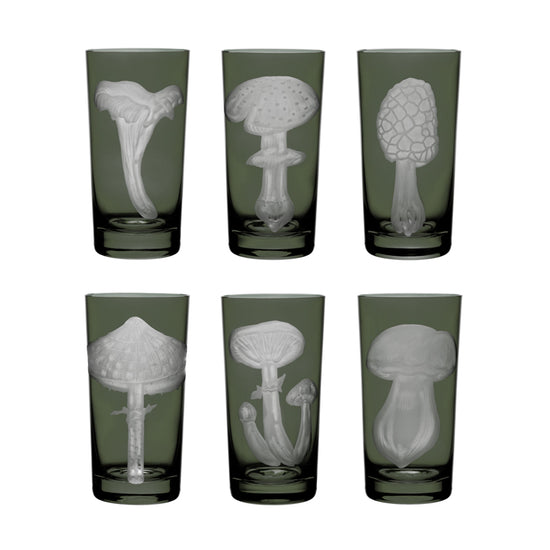 Mushrooms Collection Set