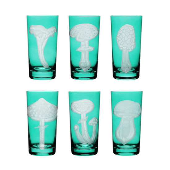 Mushrooms Collection Set