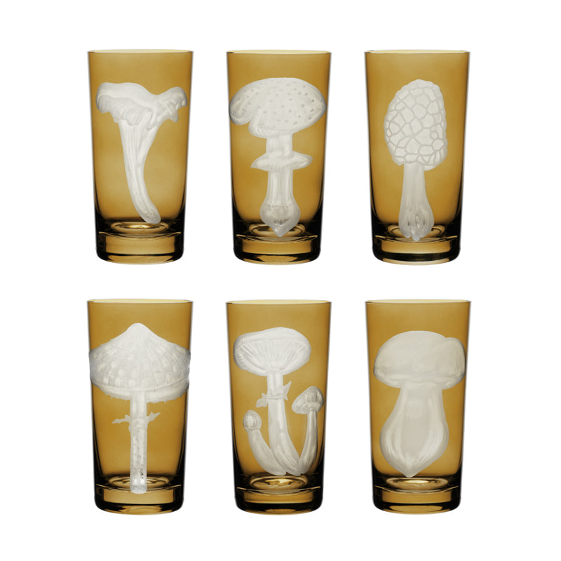 Mushrooms Collection Set