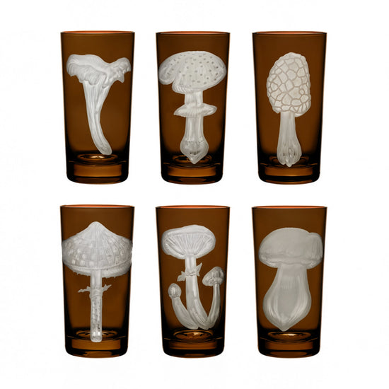 Mushrooms Collection Set