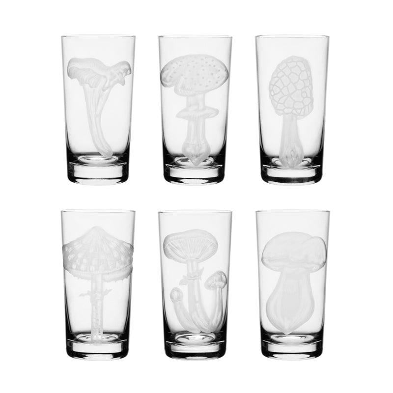 Mushrooms Collection Set