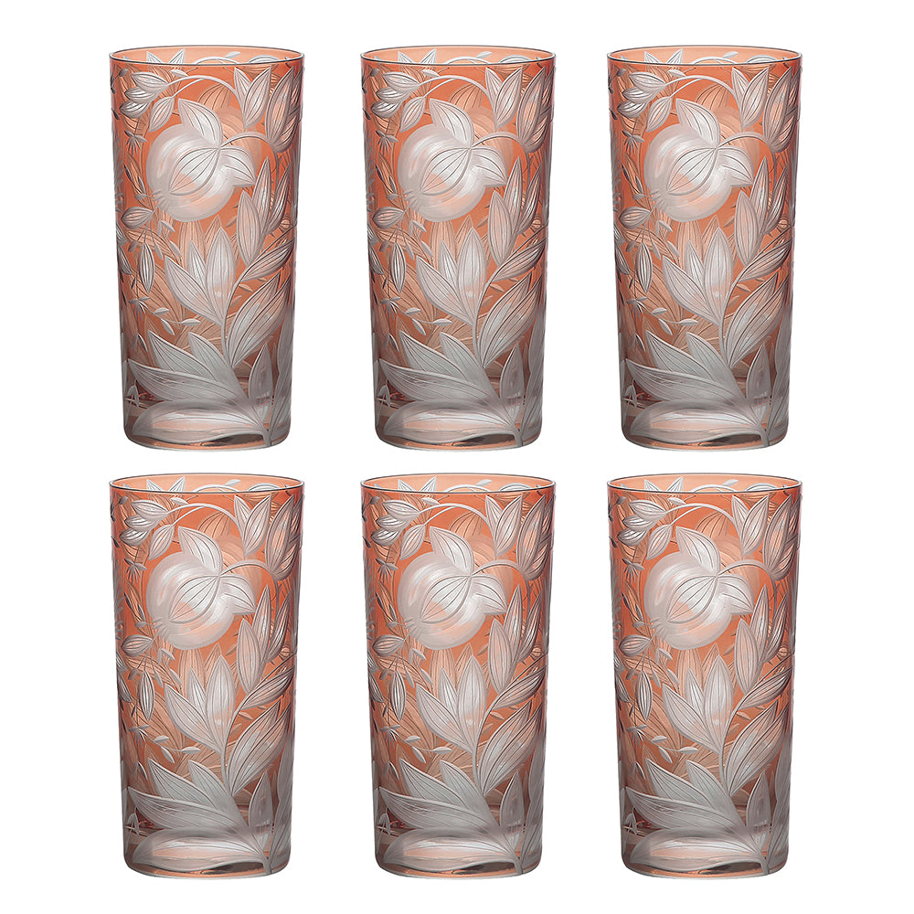Verdure — Highball Set of 6, Salmon