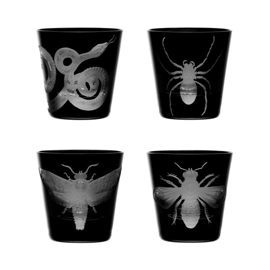 Cabinet of Curiosities Spider