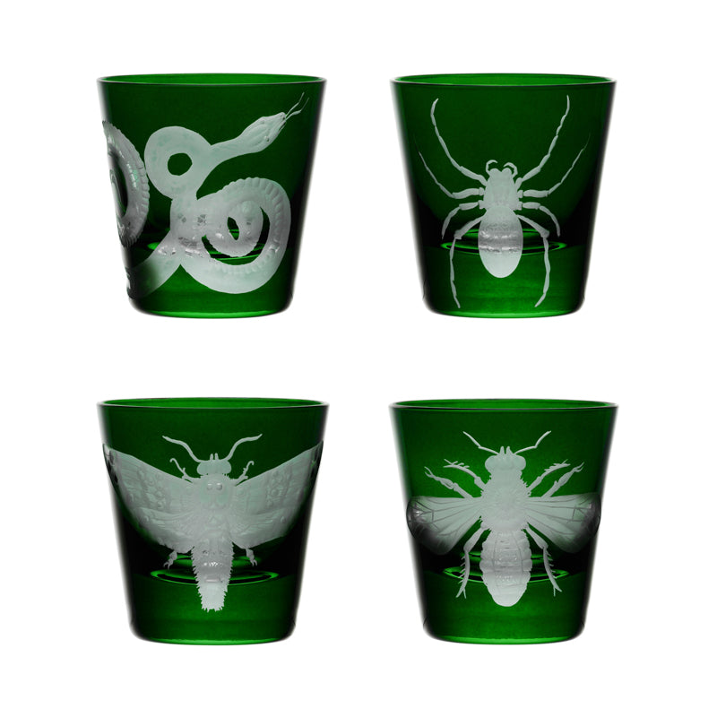 Cabinet of Curiosities Spider