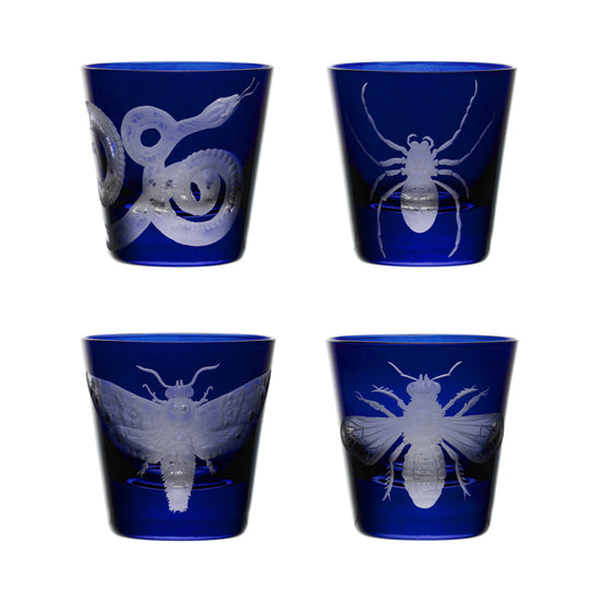 Cabinet of Curiosities Spider