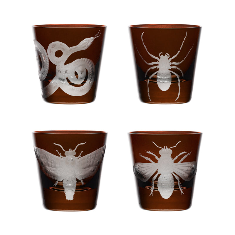Cabinet of Curiosities Spider