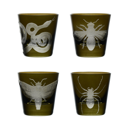 Cabinet of Curiosities Spider