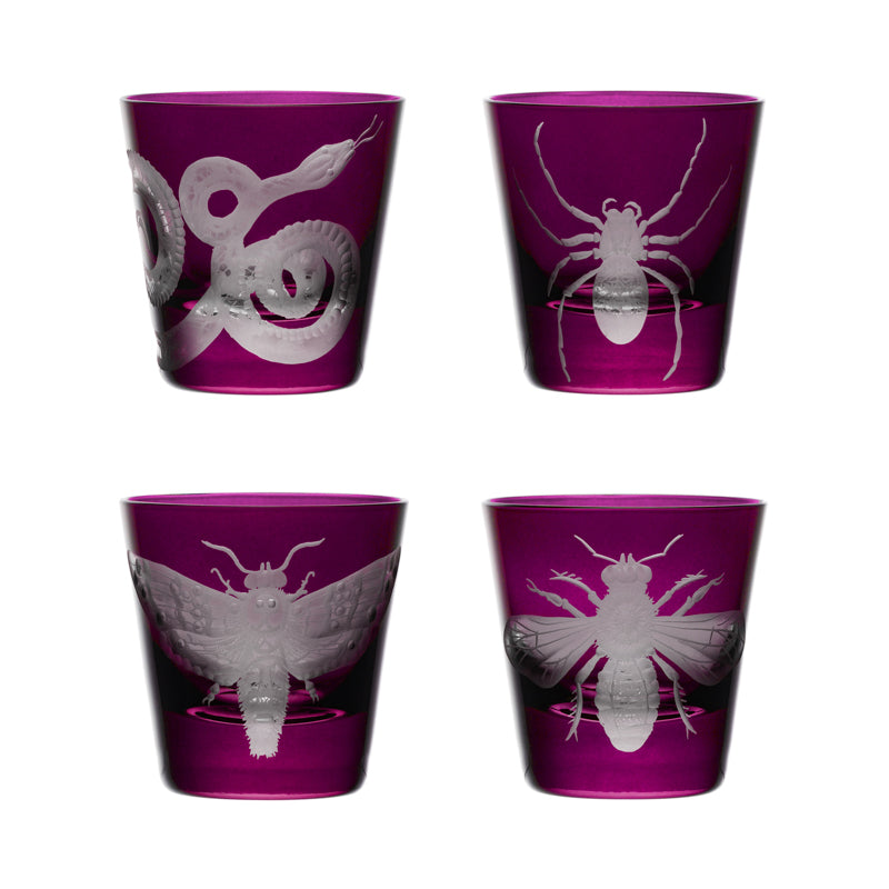 Cabinet of Curiosities Butterfly