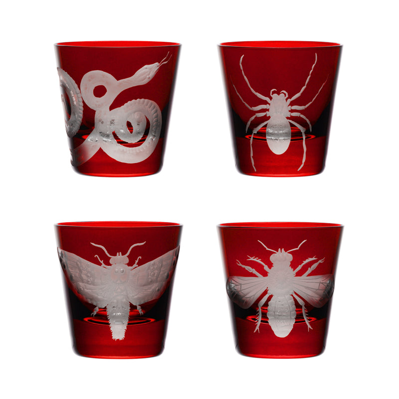 Cabinet of Curiosities Spider