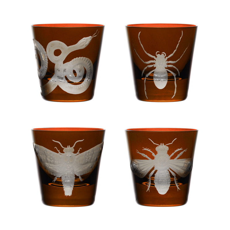 Cabinet of Curiosities Spider