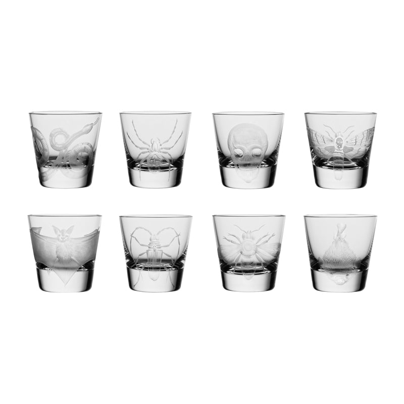 Cabinet of Curiosities Snake