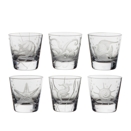 Sea Life Collection Set