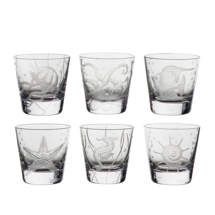 Sea Life Collection Set