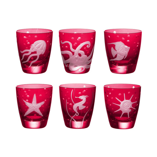 Sea Life Collection Set