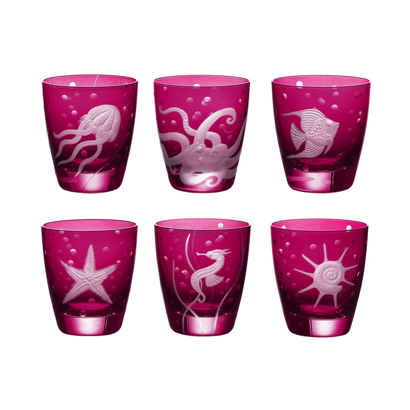 Sea Life Collection Set