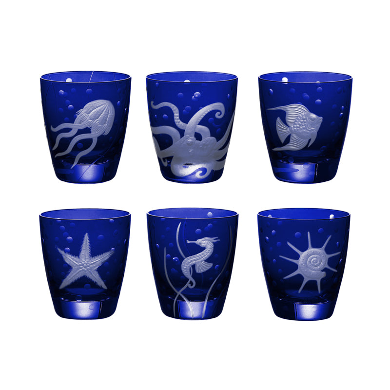 Sea Life Collection Set