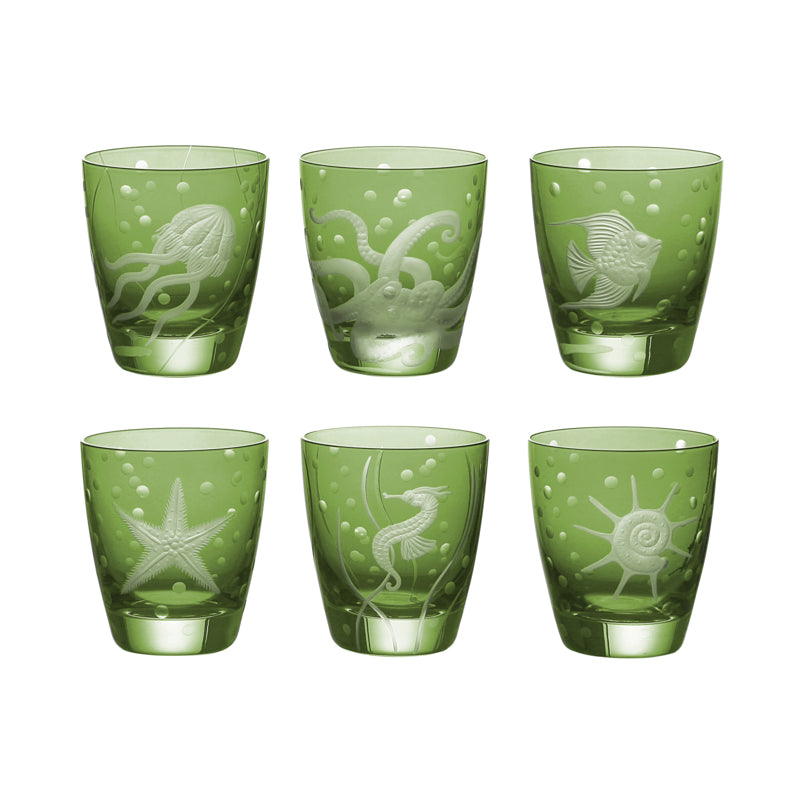 Sea Life Collection Set