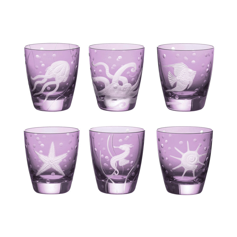 Sea Life Collection Set