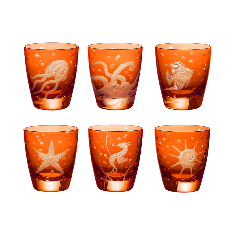 Sea Life Collection Set