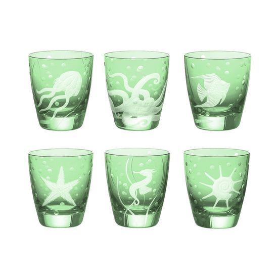 Sea Life Collection Set