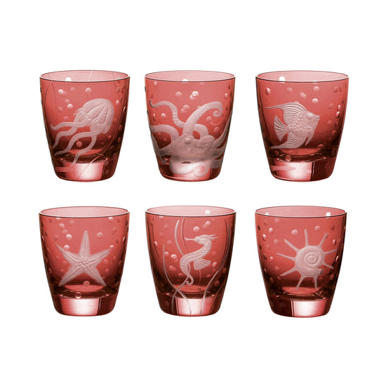 Sea Life Collection Set