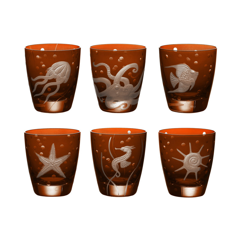 Sea Life Collection Set