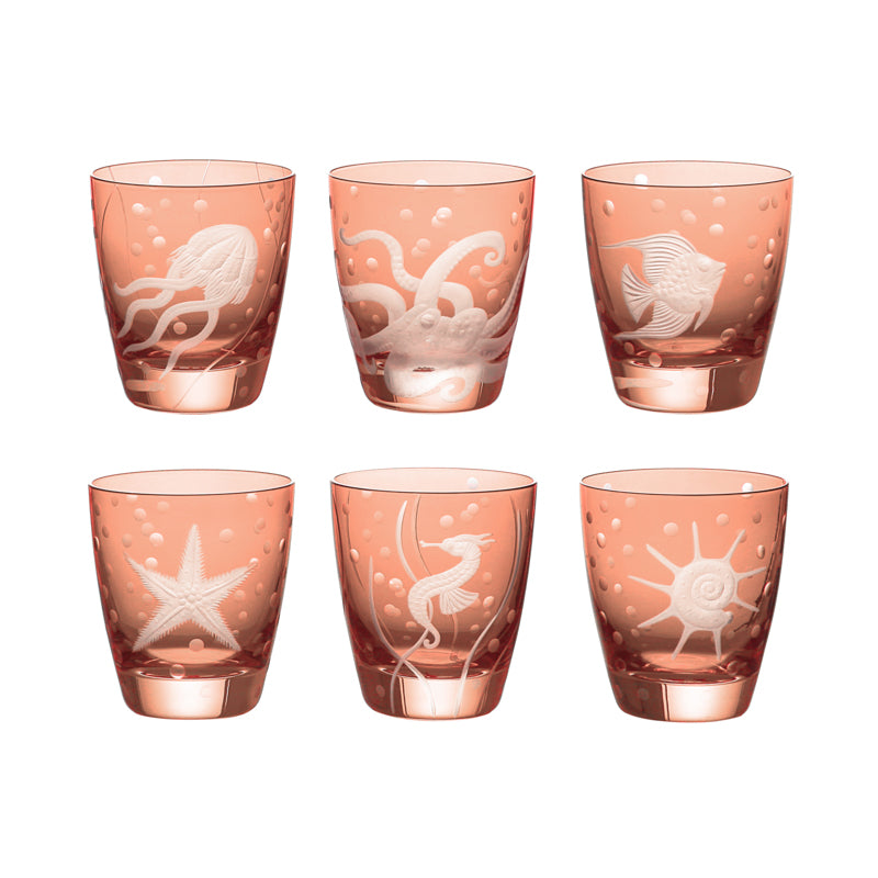 Sea Life Collection Set