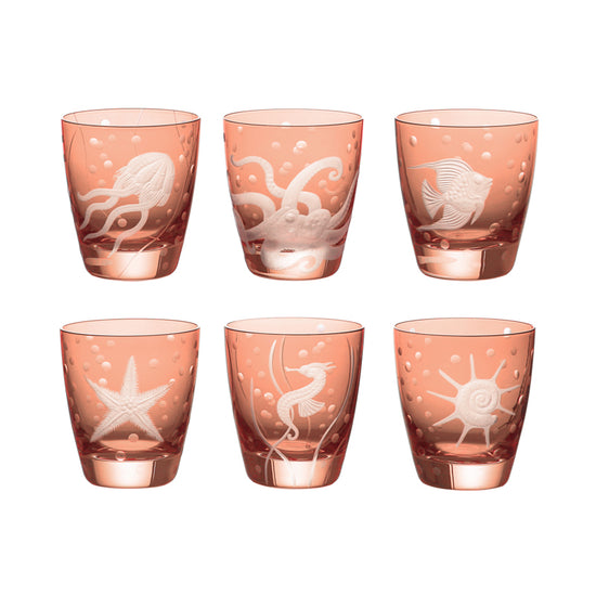 Sea Life Collection Set